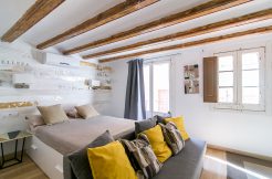 2-6-246x162 2-6-246x162 Studio Carrer Sant Pere Mitja, Borne 2 6 246x162
