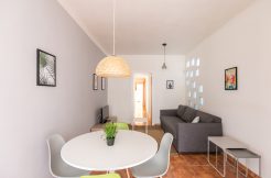 grassot-60-5-1-246x162 grassot-60-5-1-246x162 Appartement à louer 3 chambres avec terrasse grassot 60 5 1 246x162