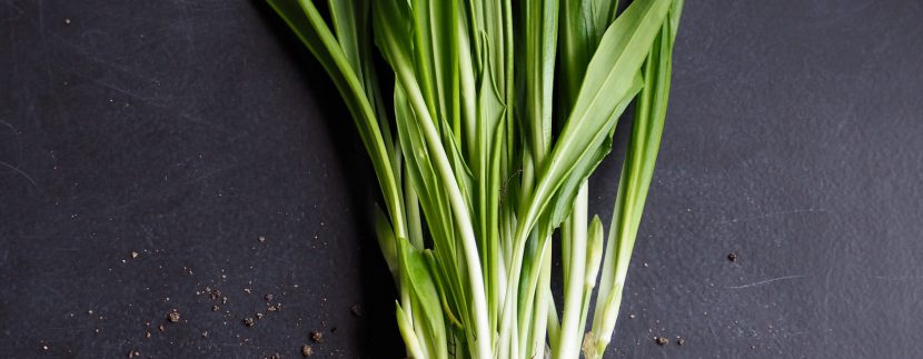 anna-voss-p1yTPLjC8ys-unsplash-830x323 anna-voss-p1yTPLjC8ys-unsplash-830x323 La gran tradición de la Calçotada anna voss p1yTPLjC8ys unsplash 830x323