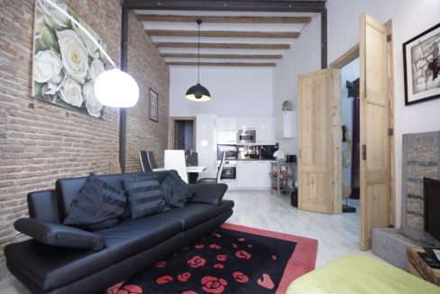 Apartment in Flor de Lliri