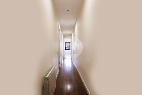 47997193-d20f-4a88-af22-9a6266b2951c