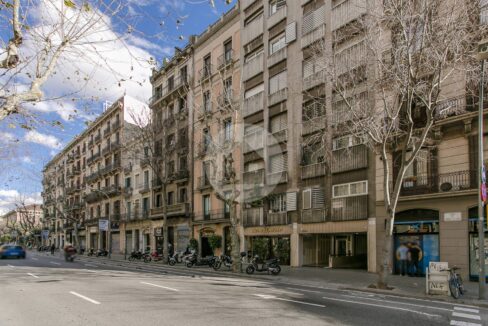 c633387d-08cf-41e1-a089-e959ca862b95-1