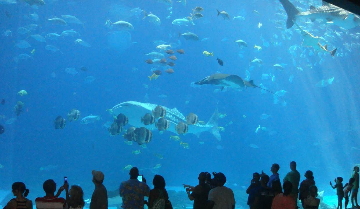 aquarium de barcelona