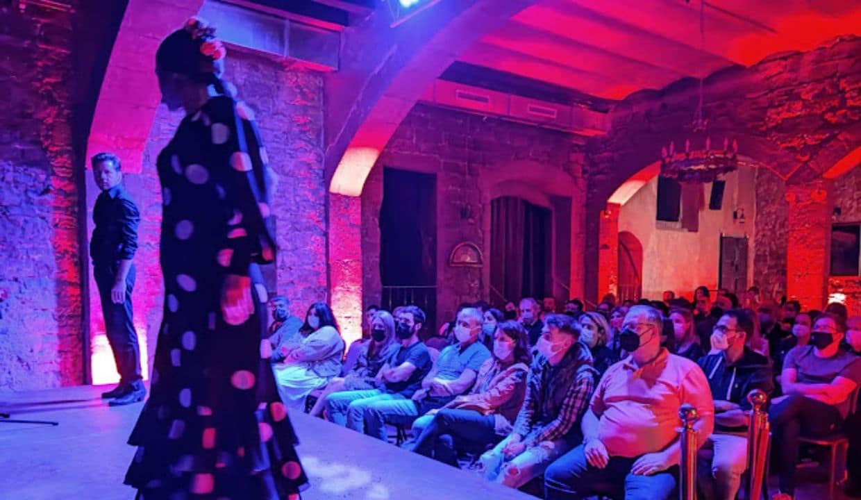 espectaculo flamenco que ver en el born