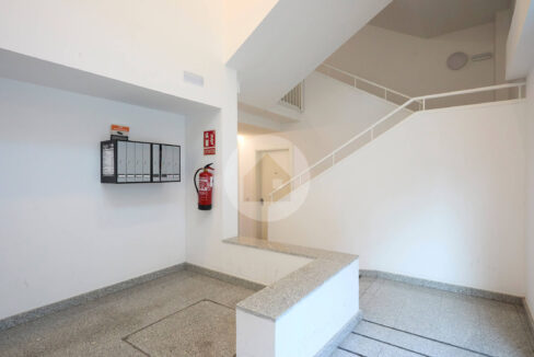 6afd3472-baeb-4b7f-9482-cde61464e992-3