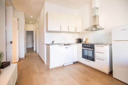 443a3c80-4d50-430d-a642-d8b6e82a6c69-4