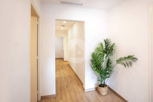 4ca1885d-7219-47b1-94b2-dccded2804c4