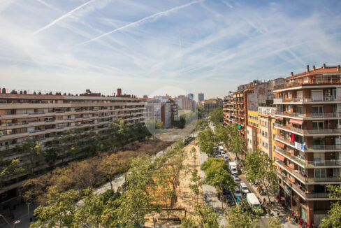 8f8256e2-34a1-4e32-854c-e2eeeead0d8c-1