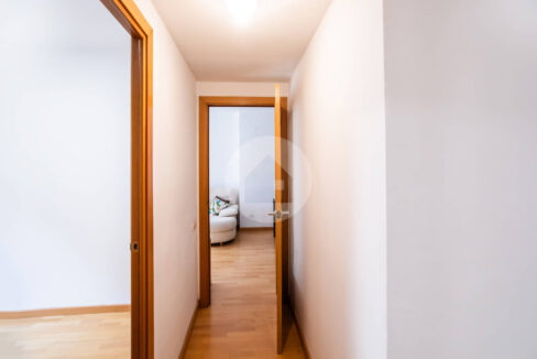 870eebad-157a-4266-a892-a94ed621c101