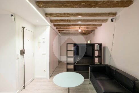 MONTSIO-13